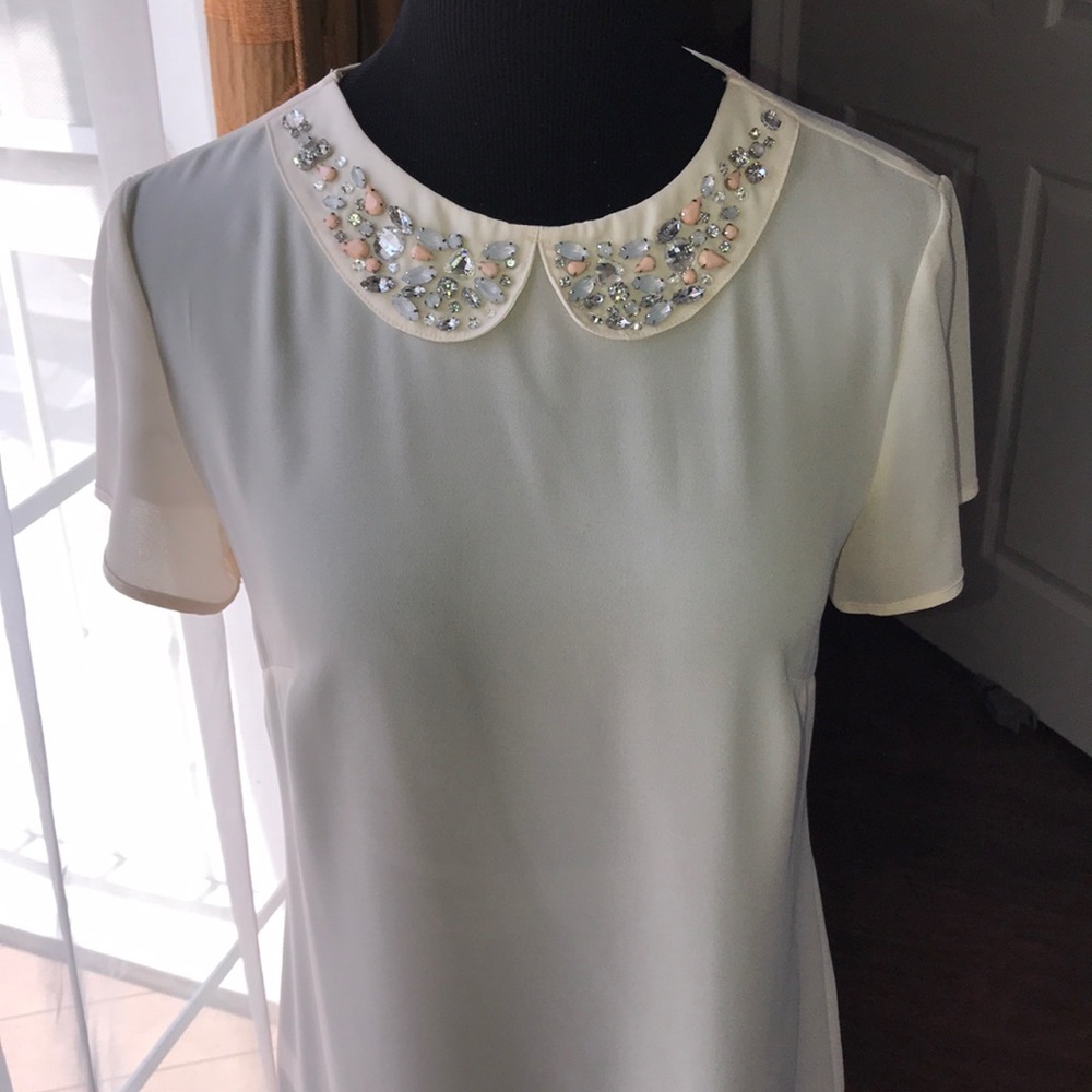 Flirty Ann Taylor Blouse